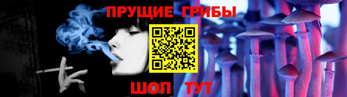 Солнечногорск  Галлюциногенные грибы GOLDEN TEACHER  купить  сайты  Вход с VPN 